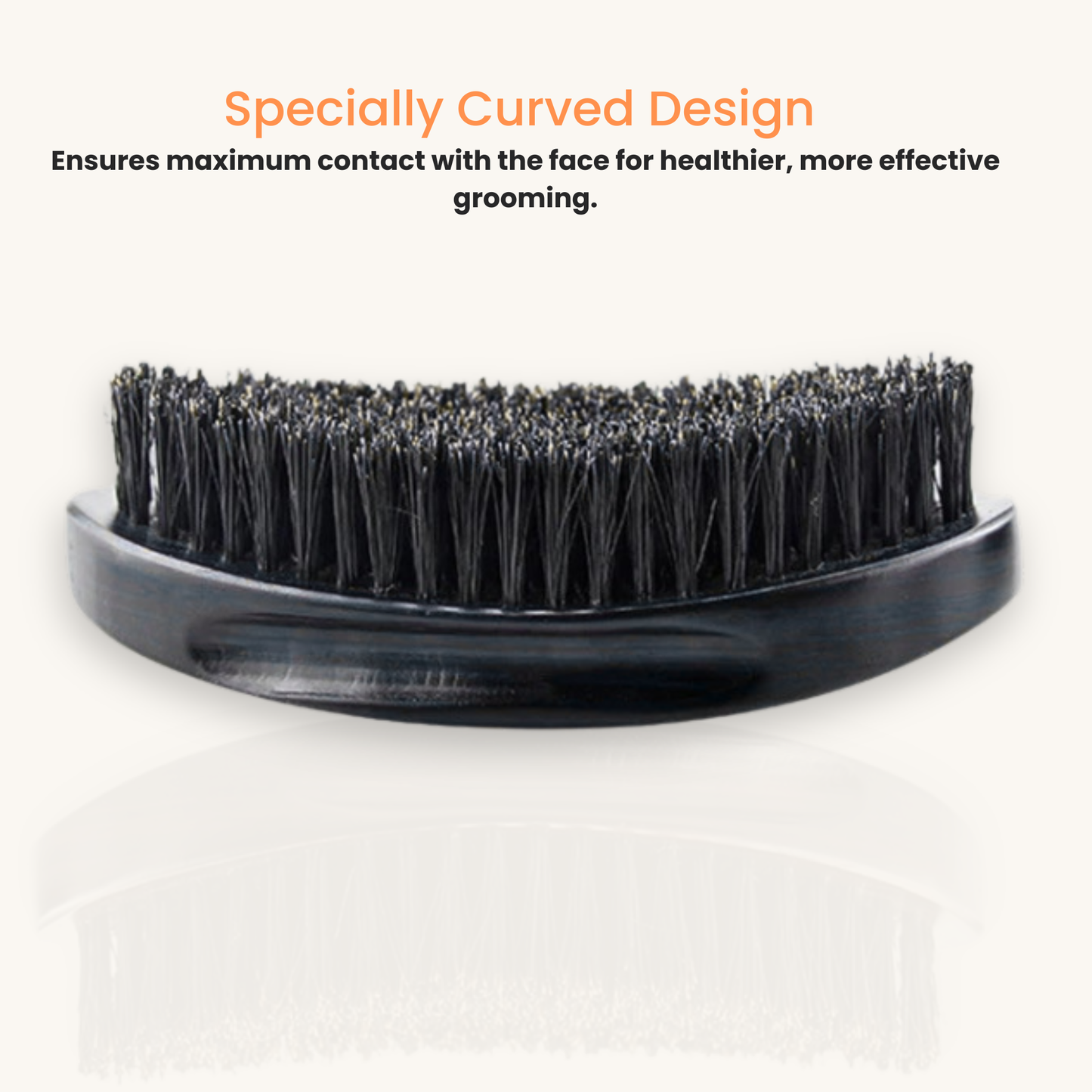 Beard Brush|Boar Bristle | Curved Design